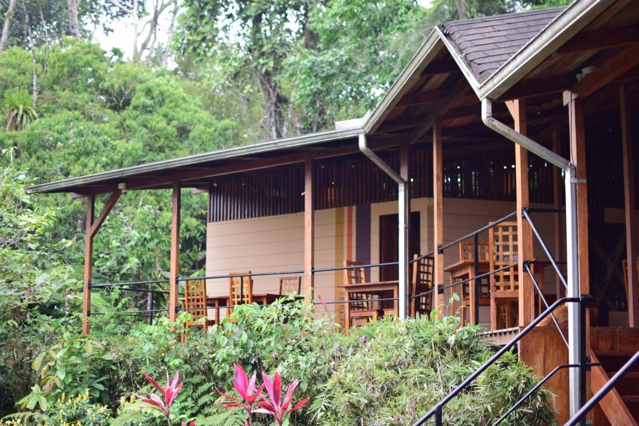 Hamadryade Lodge Puerto Misahuallí Zewnętrze zdjęcie