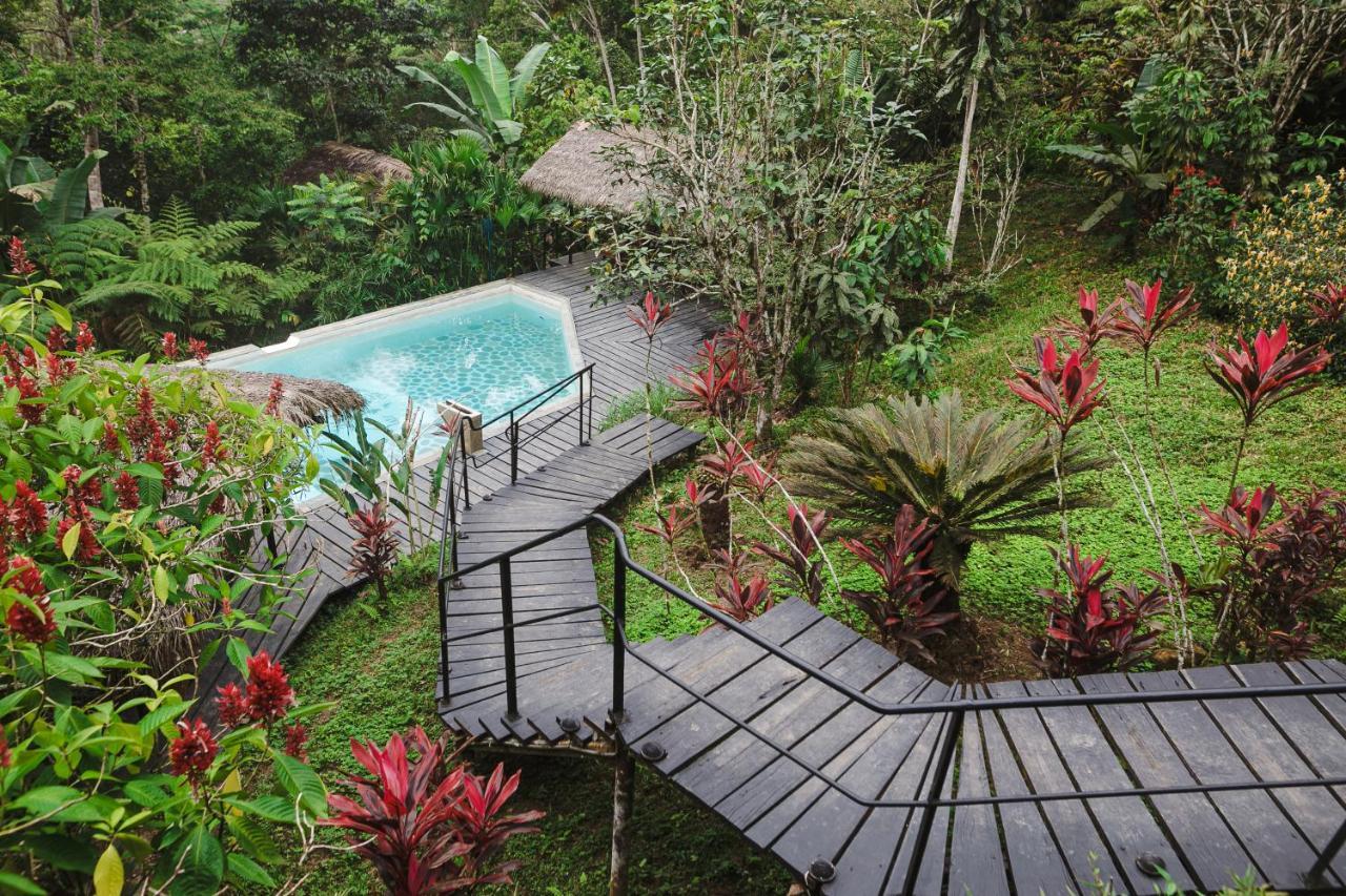 Hamadryade Lodge Puerto Misahuallí Zewnętrze zdjęcie
