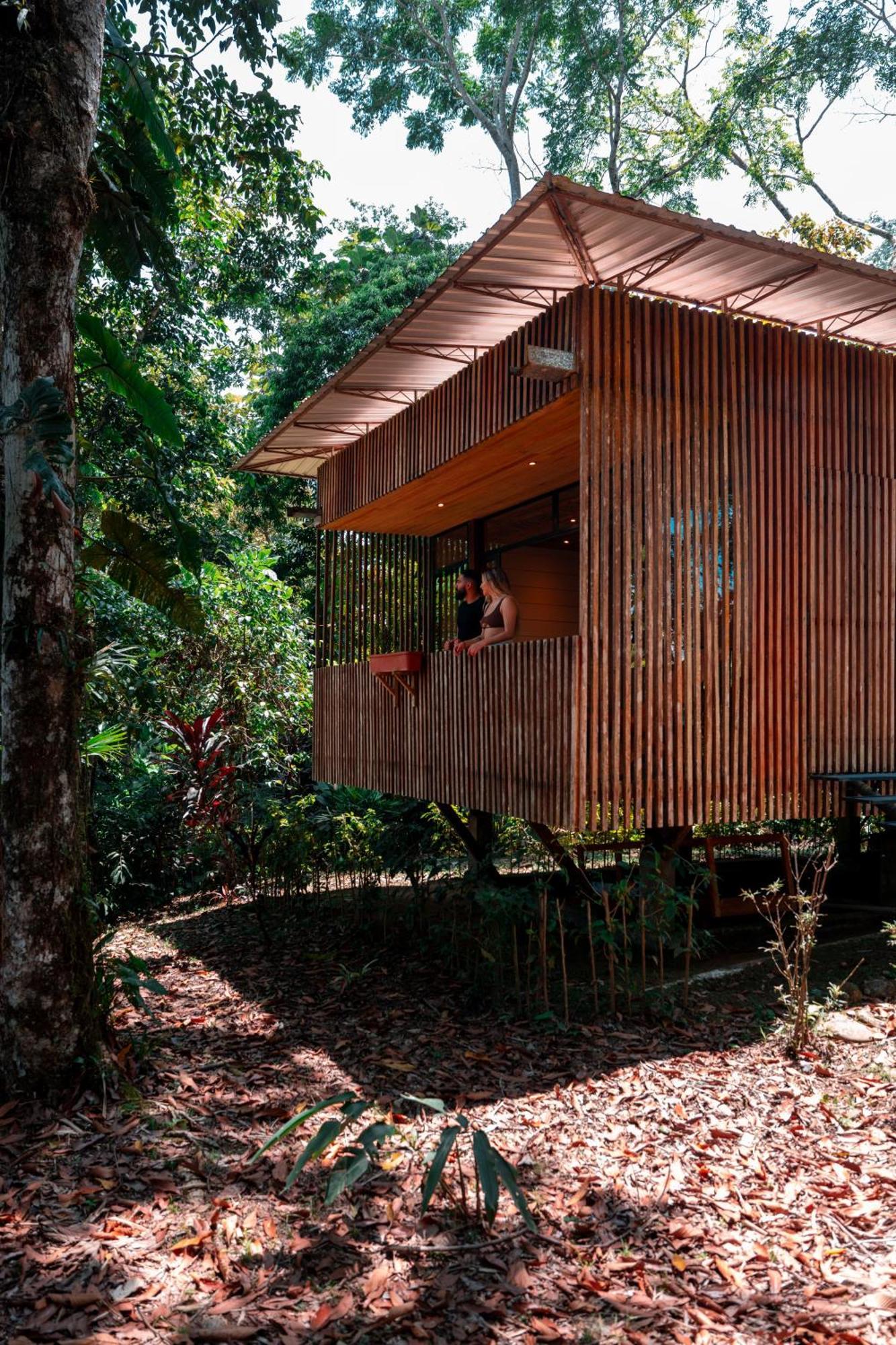 Hamadryade Lodge Puerto Misahuallí Zewnętrze zdjęcie