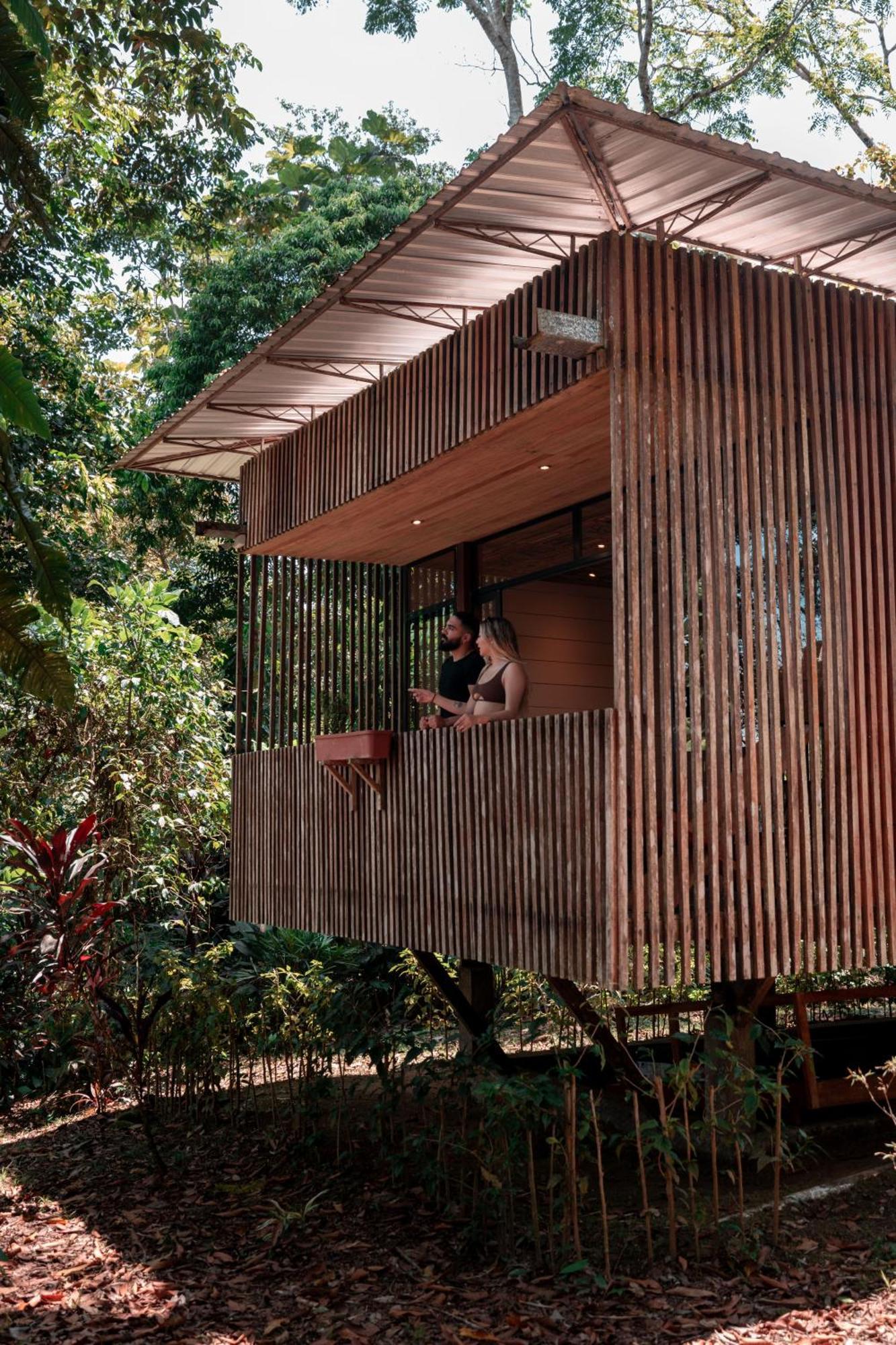 Hamadryade Lodge Puerto Misahuallí Zewnętrze zdjęcie