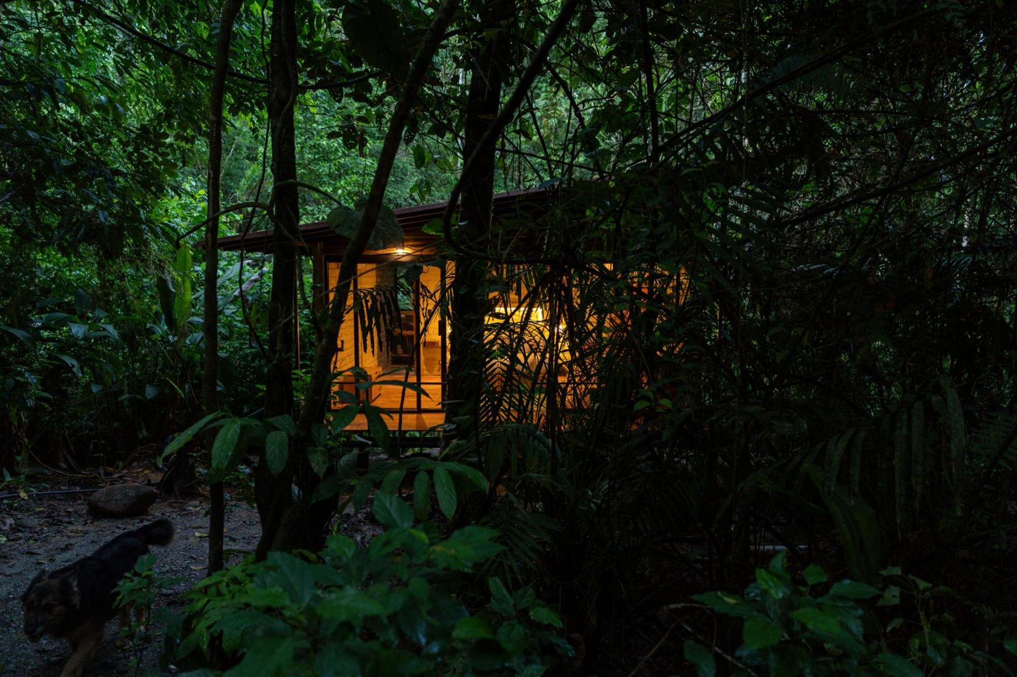 Hamadryade Lodge Puerto Misahuallí Zewnętrze zdjęcie